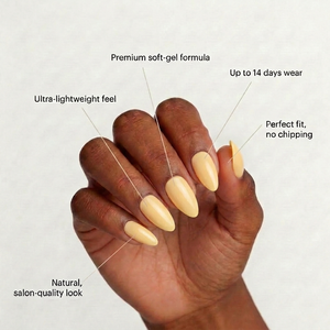 Sunlit Yellow | Almond Medium
