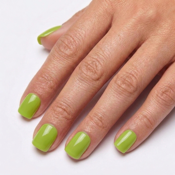 Matcha Cream | Square Short